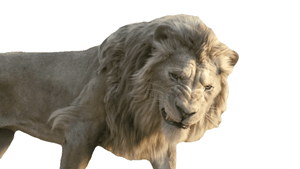 Gif animé lion méchant